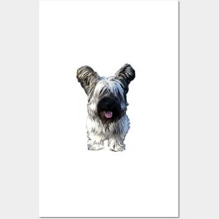 Skye Terrier Cute Dog Posters and Art